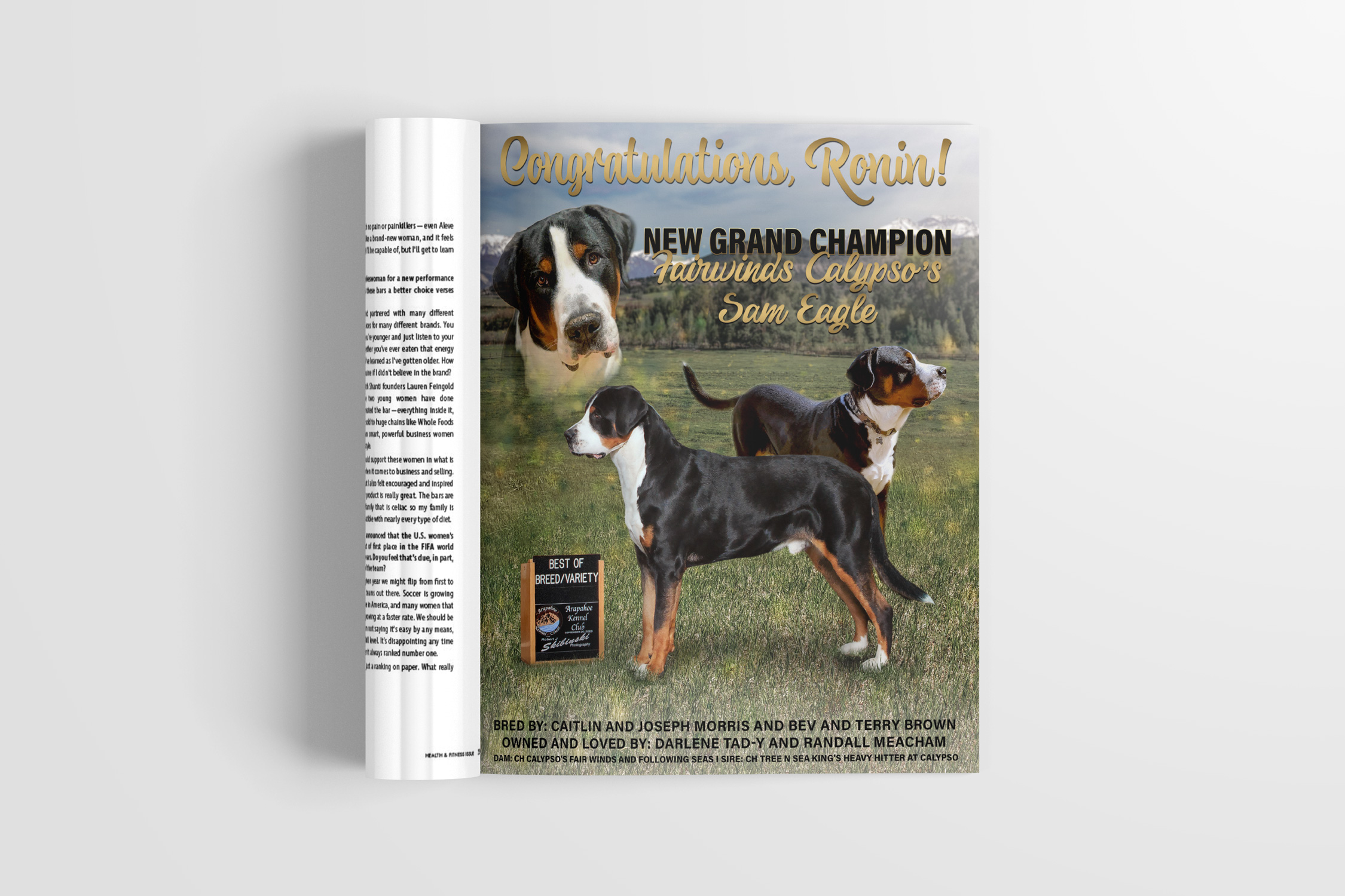 Greater Swiss Mountain Dog Club of America SENNtinel